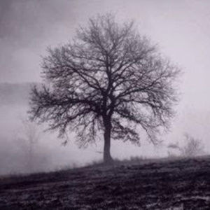 Meet your Posher, Carla